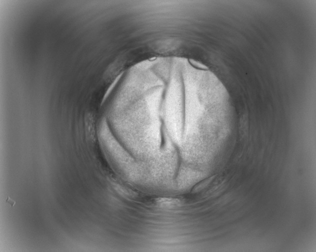 X0000063530234200602102026