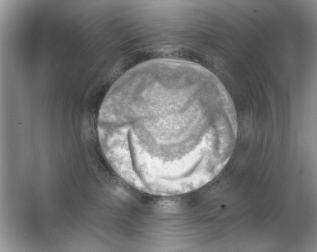 X0000063530236200602102026