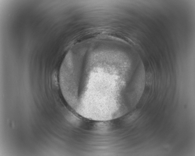 X0000063530238200602102025