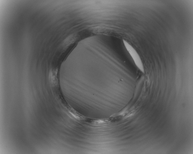 X0000063530239200602102025