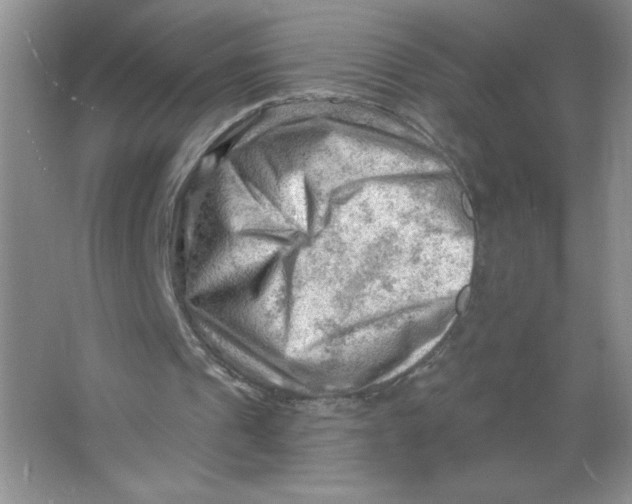 X0000063530241200602102025