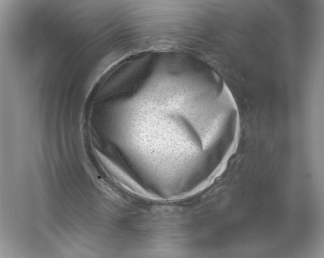 X0000063530242200602102025