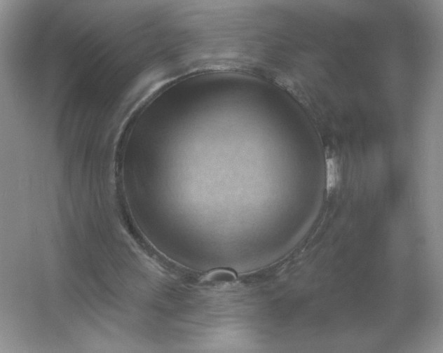 X0000063530243200602102025