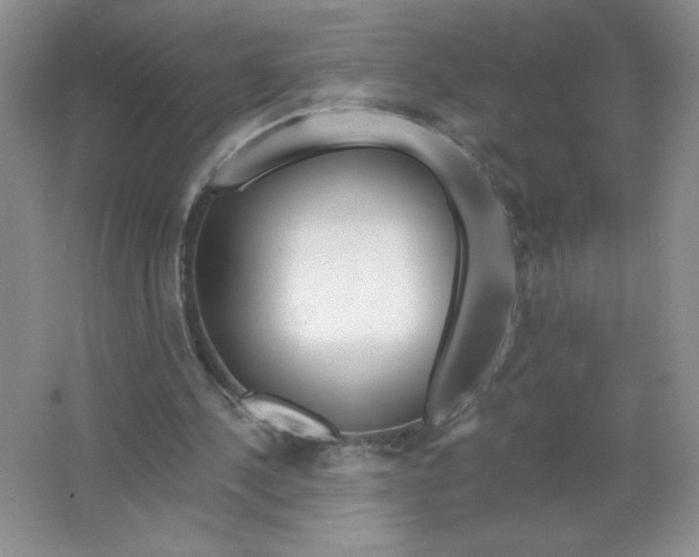 X0000063530244200602102025