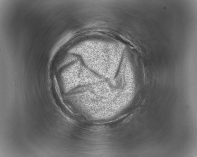 X0000063530245200602102025