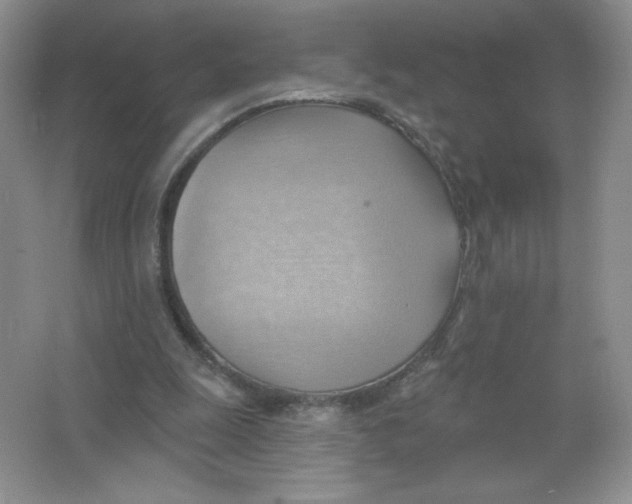 X0000063530247200602102025