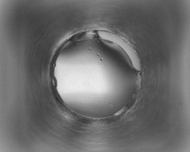 X0000063530248200602102025