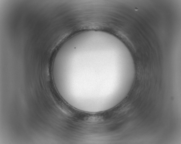 X0000063530251200602102025