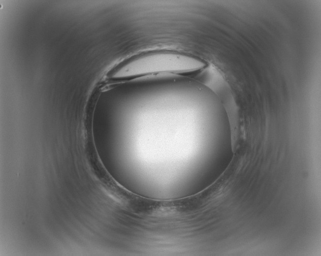 X0000063530252200602102025