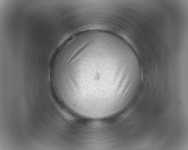 X0000063530253200602102025