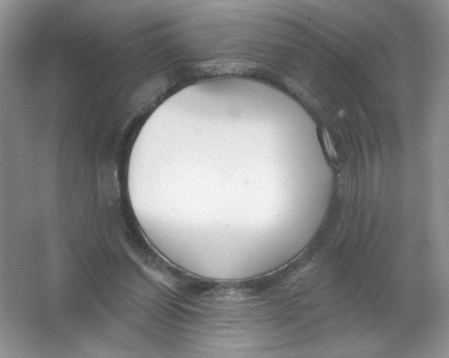 X0000063530254200602102025