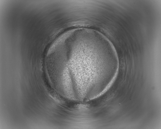 X0000063530255200602102025