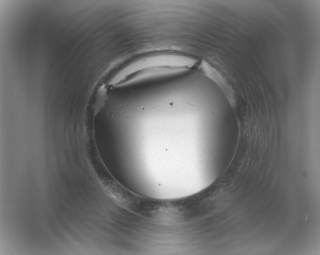 X0000063530256200602102025