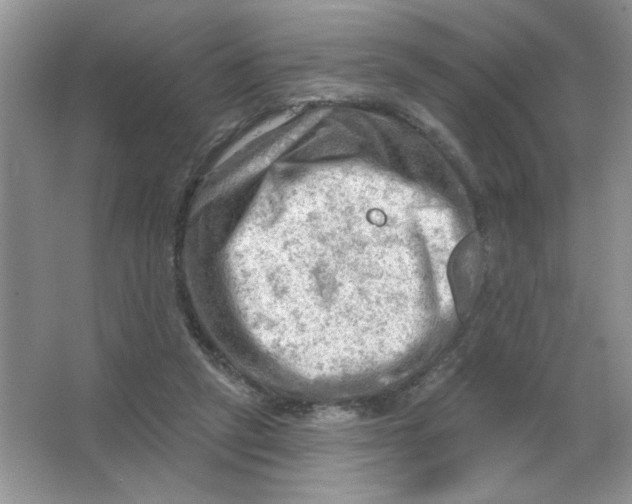 X0000063530257200602102025