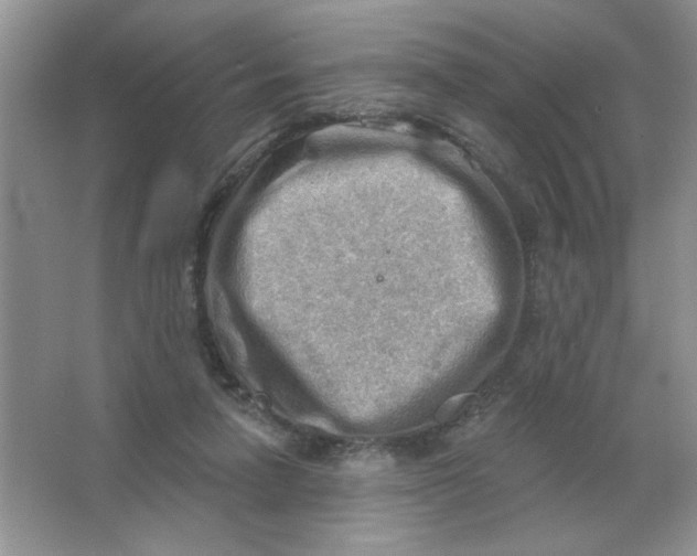 X0000063530258200602102025