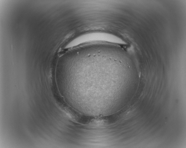 X0000063530260200602102025