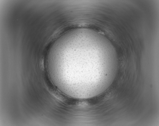 X0000063530262200602102025