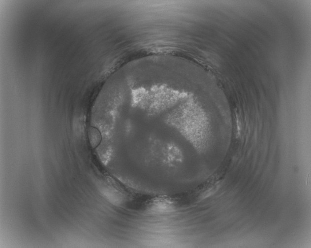 X0000063530263200602102025