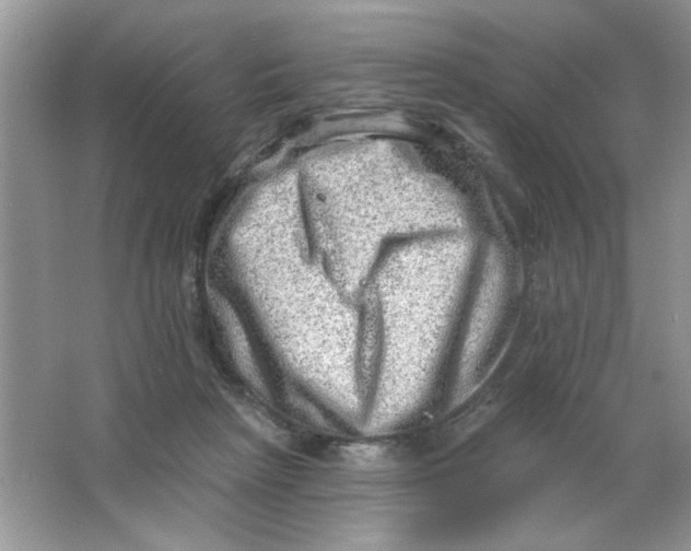 X0000063530265200602102025