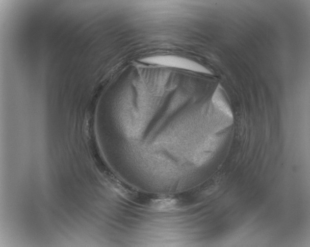 X0000063530266200602102025