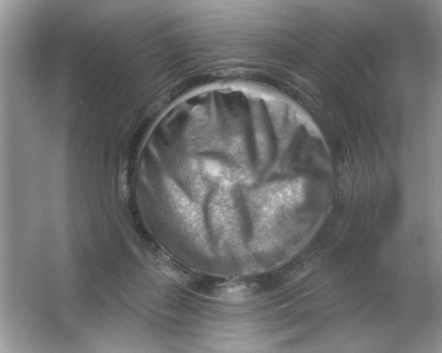 X0000063530267200602102025