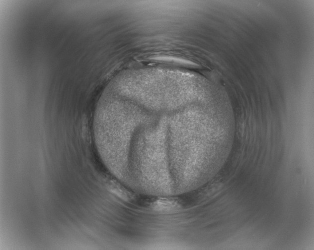 X0000063530270200602102025