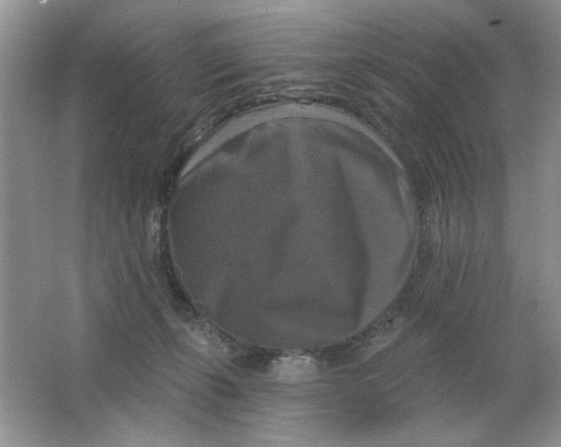 X0000063530271200602102025