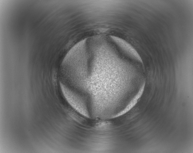 X0000063530274200602102025