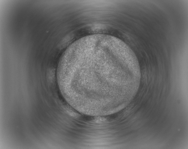 X0000063530278200602102025