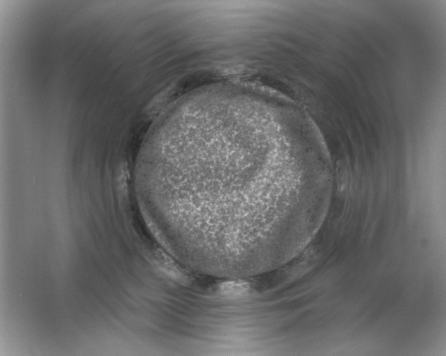 X0000063530279200602102025