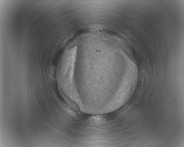 X0000063530280200602102025