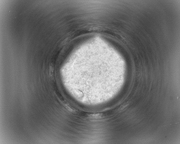 X0000063530281200602102025