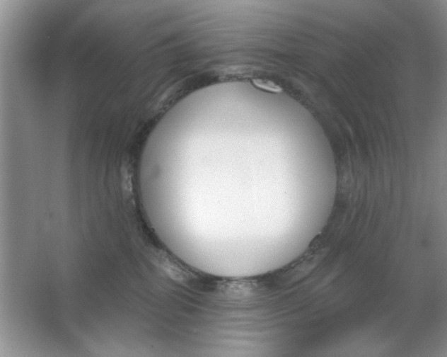 X0000063530282200602102025