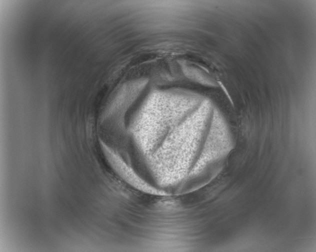 X0000063530283200602102025