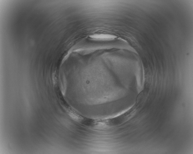 X0000063530285200602102025