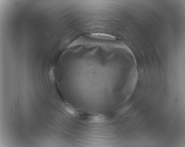 X0000063530286200602102025