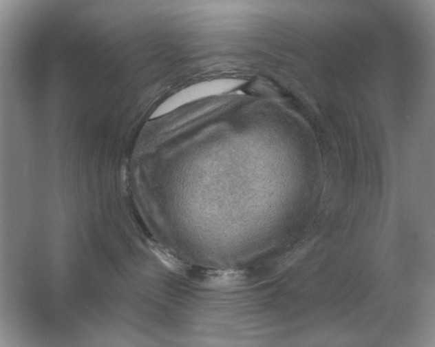 X0000063530288200602102025