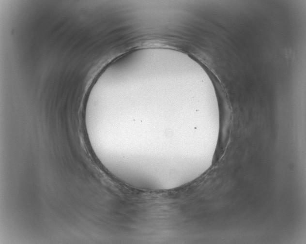 X0000063530289200602102025