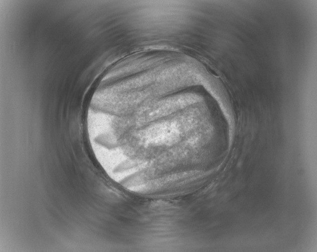 X0000063530290200602102025