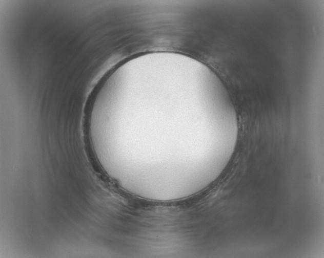 X0000063530292200602102025