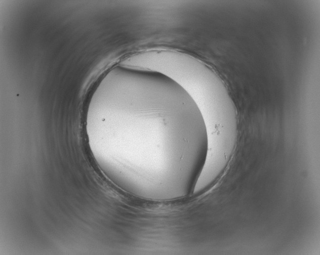 X0000063530293200602102025