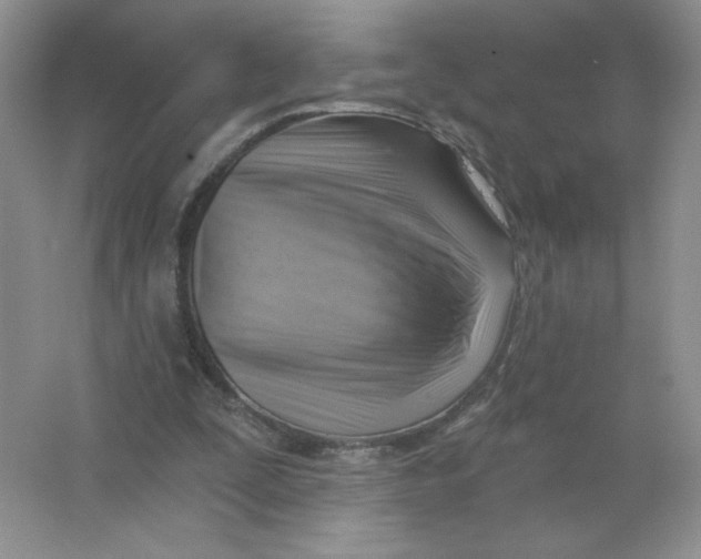 X0000063530295200602102025