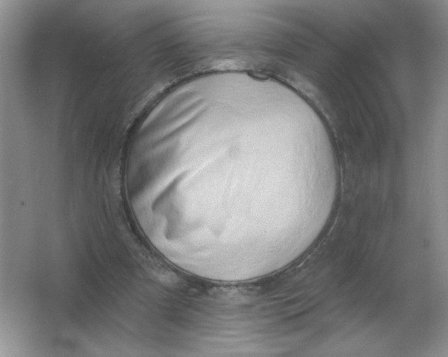 X0000063530297200602102024