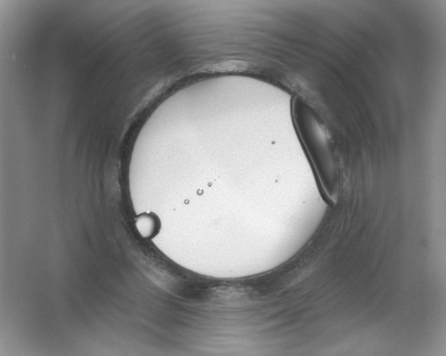 X0000063530300200602102024