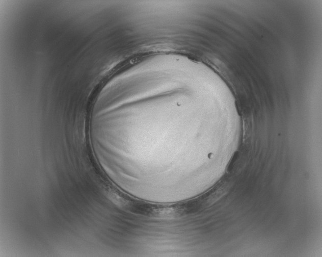 X0000063530301200602102024