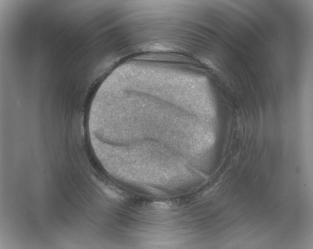 X0000063530302200602102024