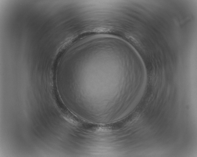 X0000063530303200602102024