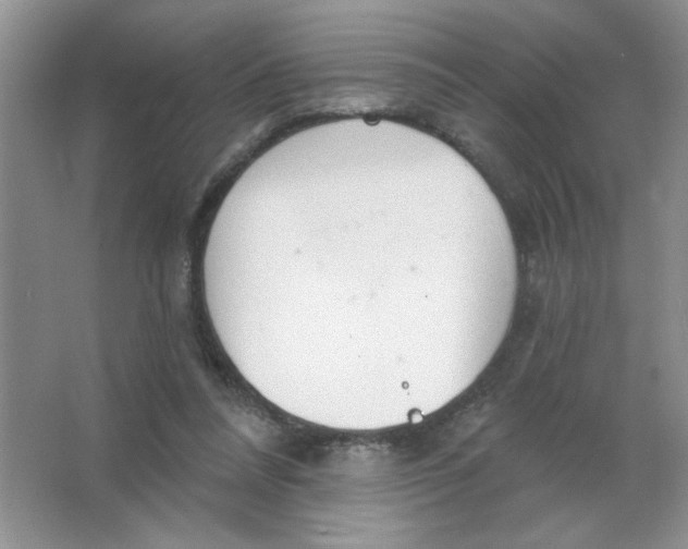 X0000063530304200602102024