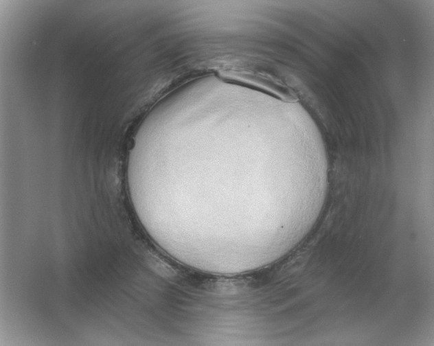 X0000063530305200602102024