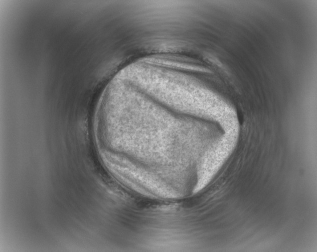 X0000063530306200602102024